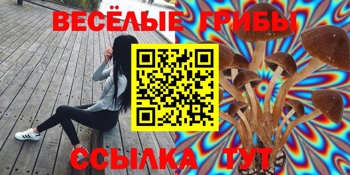 Галлюциногенные грибы прущие грибы Новоалександровск