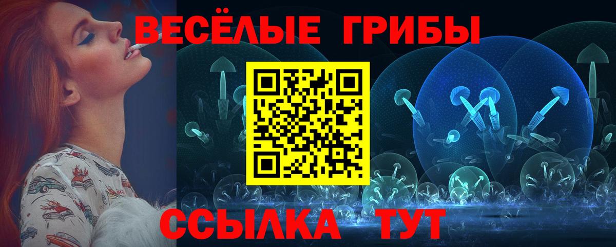 Новоалександровск  Галлюциногенные грибы Magic Shrooms  Псилоцибиновые грибы прущие грибы  Вход с VPN 
